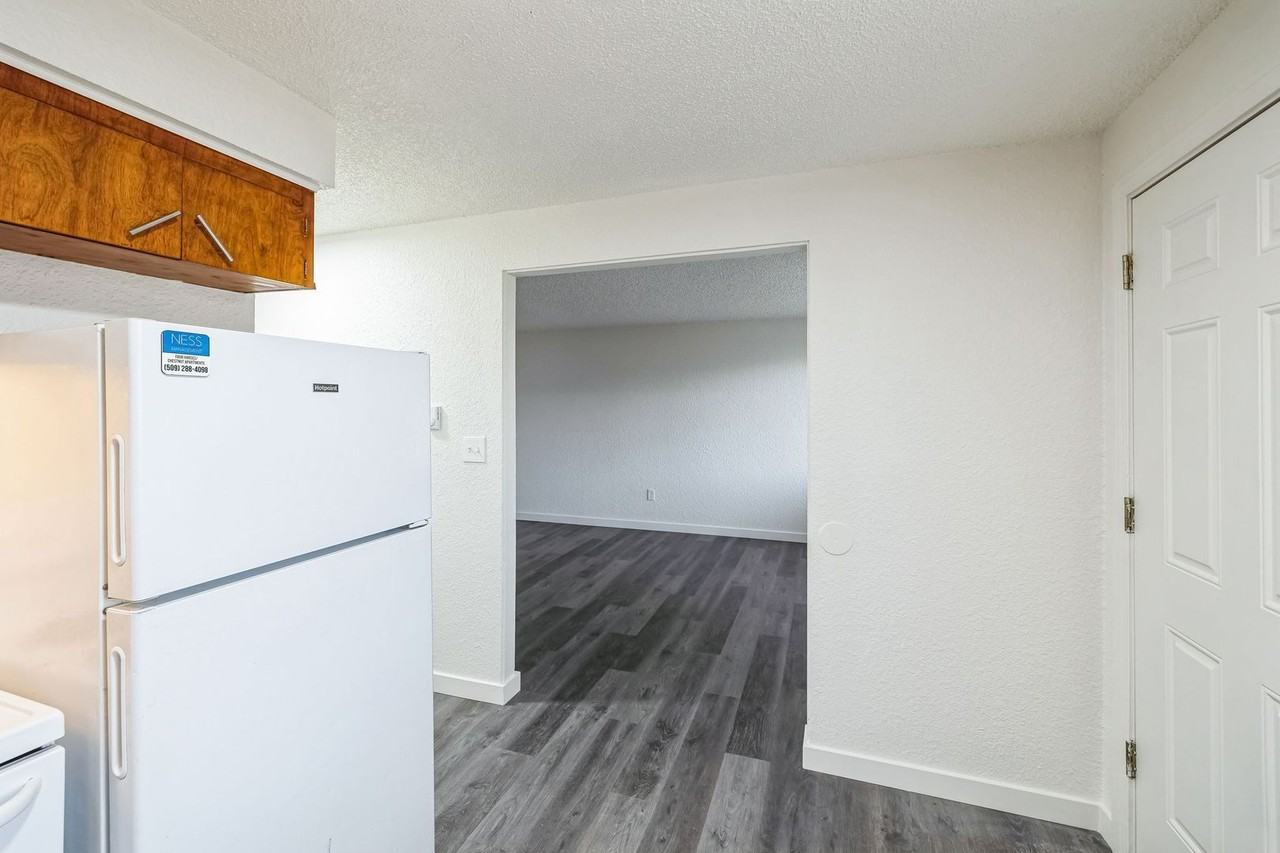 Chestnut Apartments - Photo 7 of 31