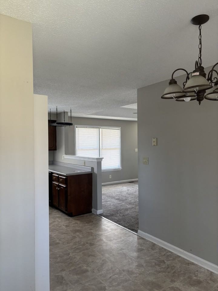 363 Donna Dr - Photo 5 of 14