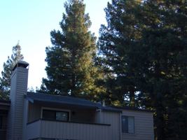 featured image of 7134 Gloria Dr