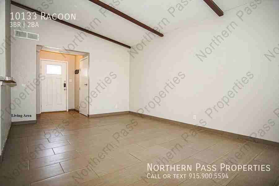 10133 Racoon Dr - Photo 3 of 24