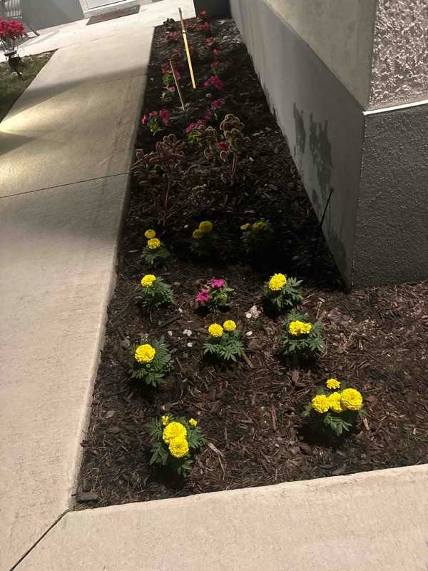 304 Preston St - Photo 3 of 13