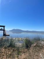 featured image of 3345 Lakeshore Blvd