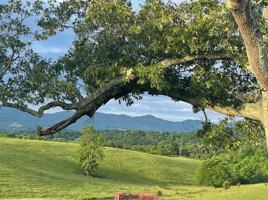 featured image of 1363 Walkers Ford Rd #NA