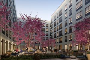 featured image of 42 Vesey Street #211