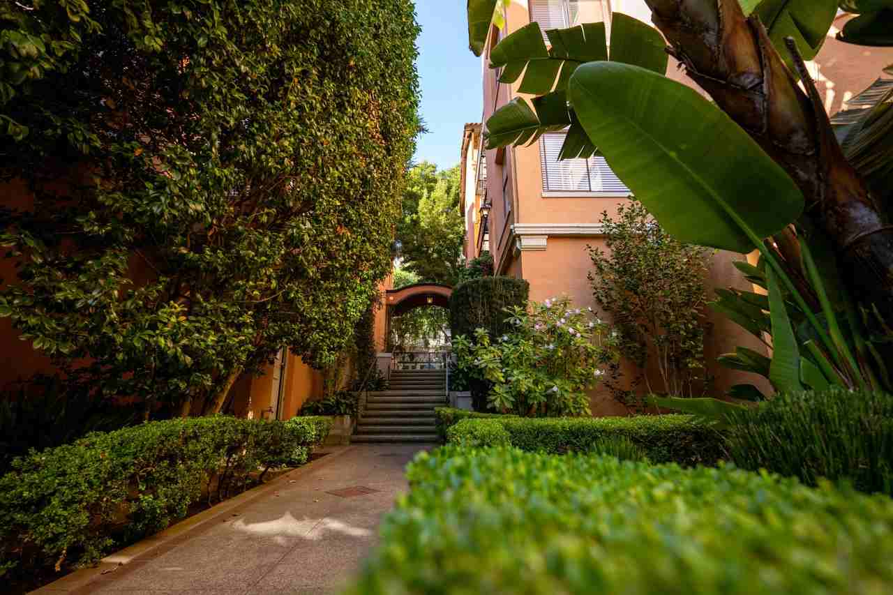 1340 Taylor Street - Photo 6 of 24