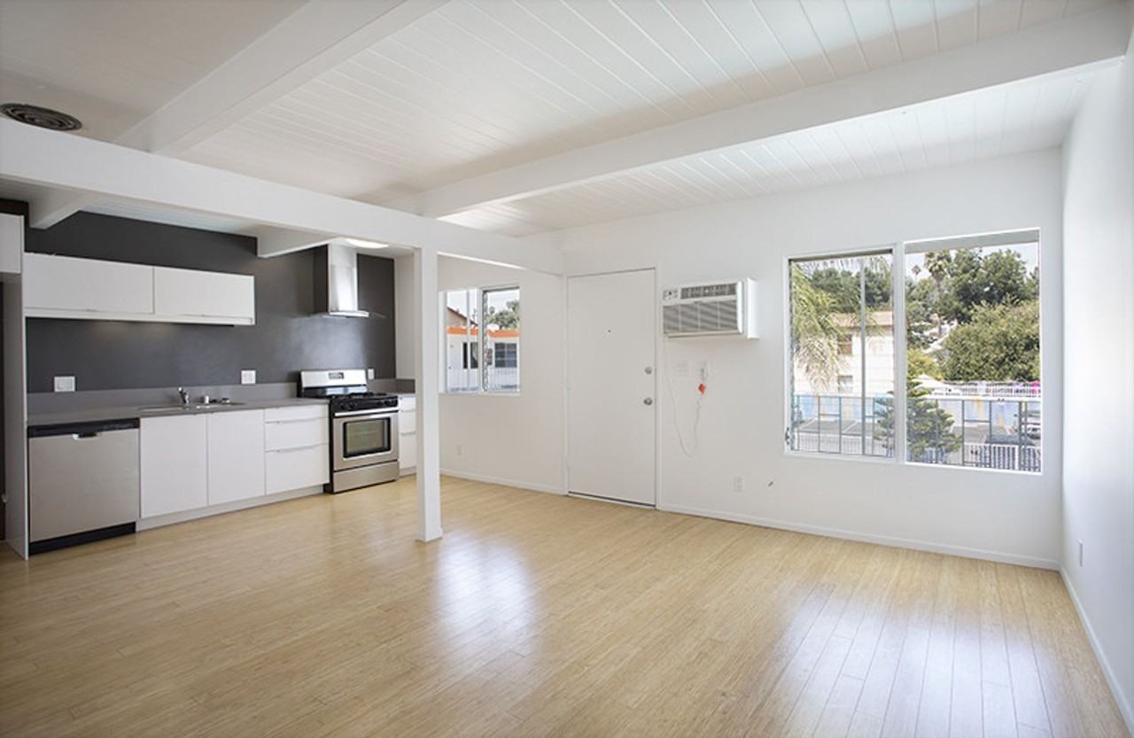 Newly Renovated Gorgeous apartments in Highland Park Oasis - Photo 7 of 21