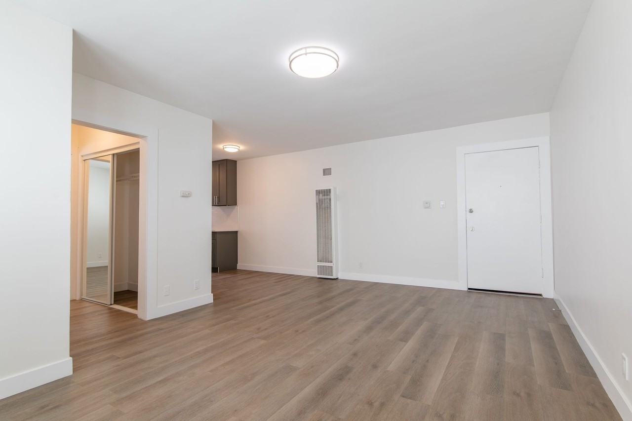 Newly Renovated Apartments - Photo 6 of 10