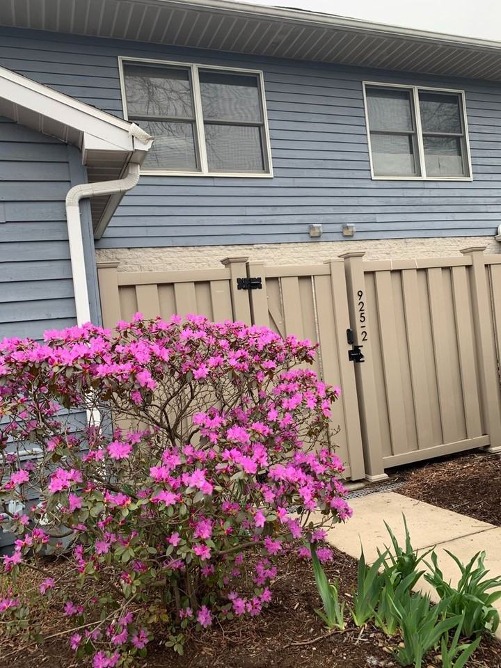 925 W Whitehall Rd #2 - Photo 3 of 20