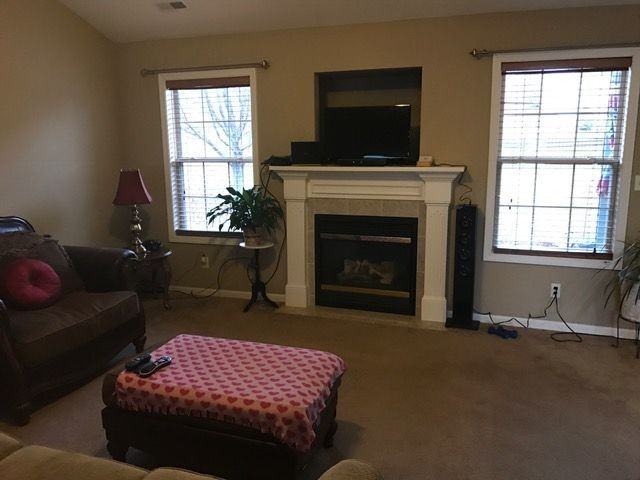 3801 Snow Leopard Dr - Photo 2 of 13