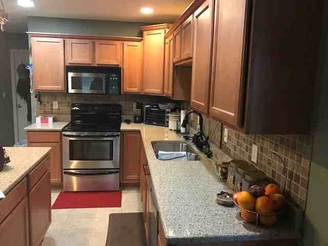 3801 Snow Leopard Dr - Photo 3 of 13