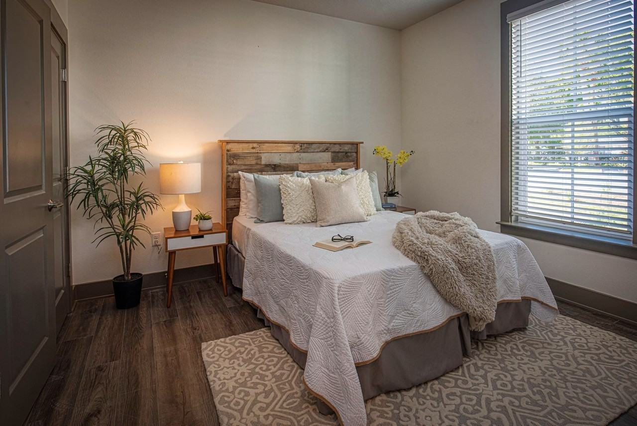 The Central on Orange Lake Apartments in Downtown New Port Richey - Photo 5 of 15