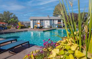 featured image of 135 Plumtree Ln