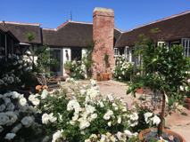 2028 S Pacific St - Photo 1 of 1