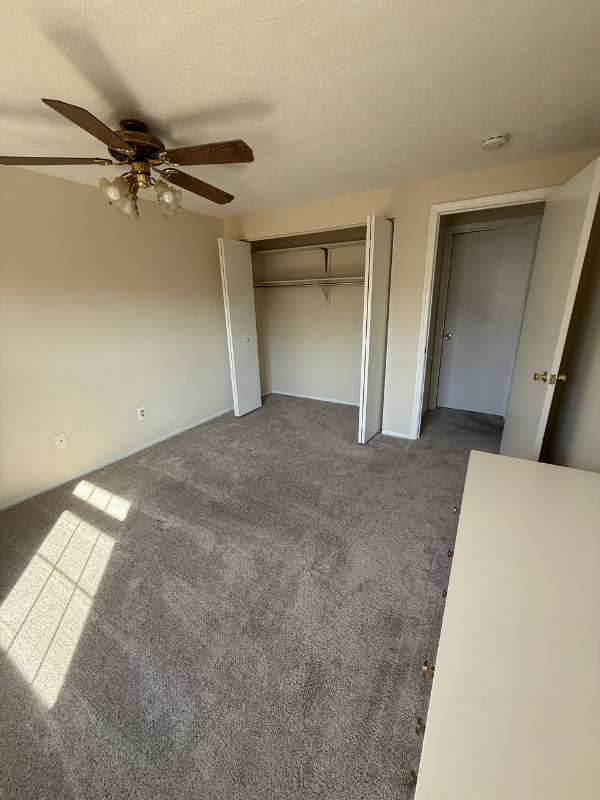 7726 Acrocomia Dr - Photo 3 of 19