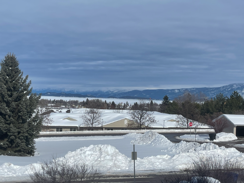 1702 1st St E #4 - Photo 3 of 13