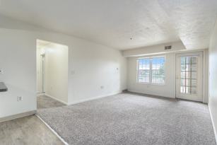 54 Springview Dr  