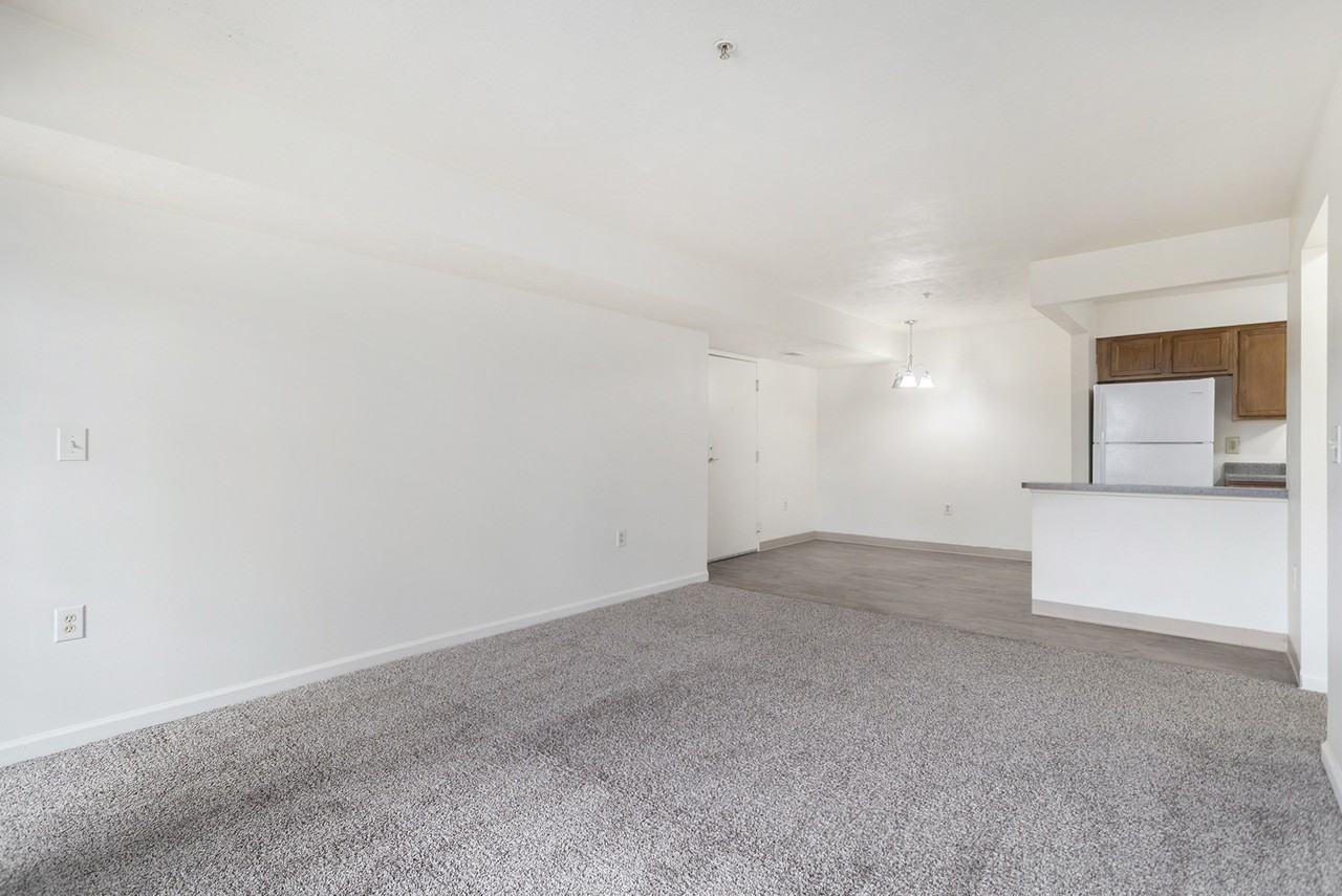 54 Springview Drive - Photo 3 of 50