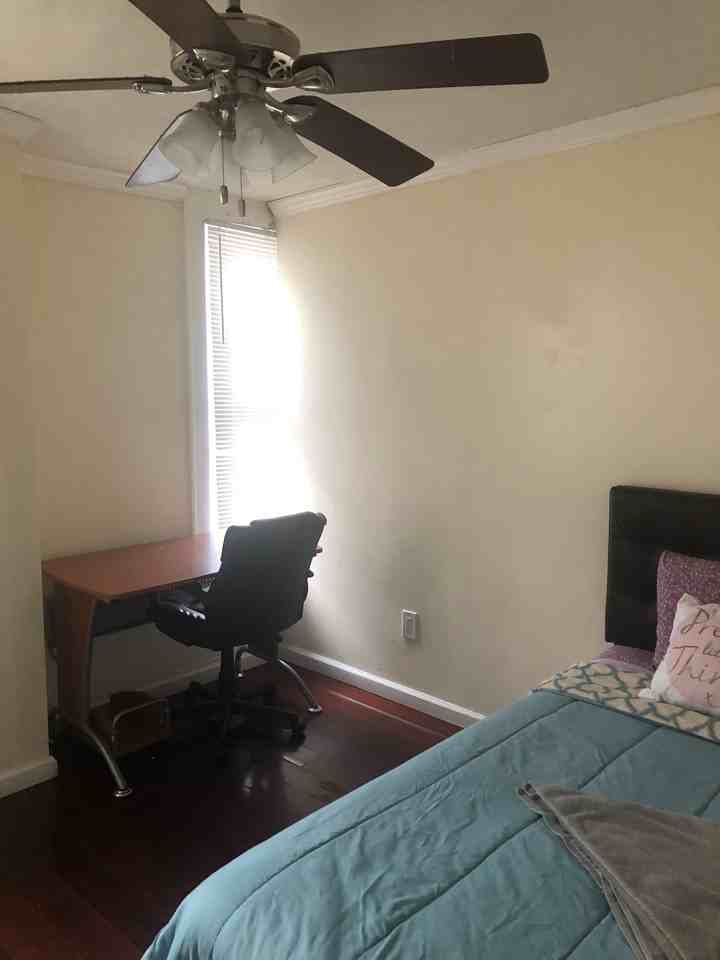 1524 East Genesee St - Photo 4 of 28