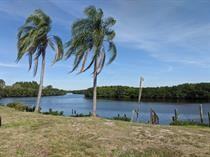 Neptune Drive - Photo 6 of 50