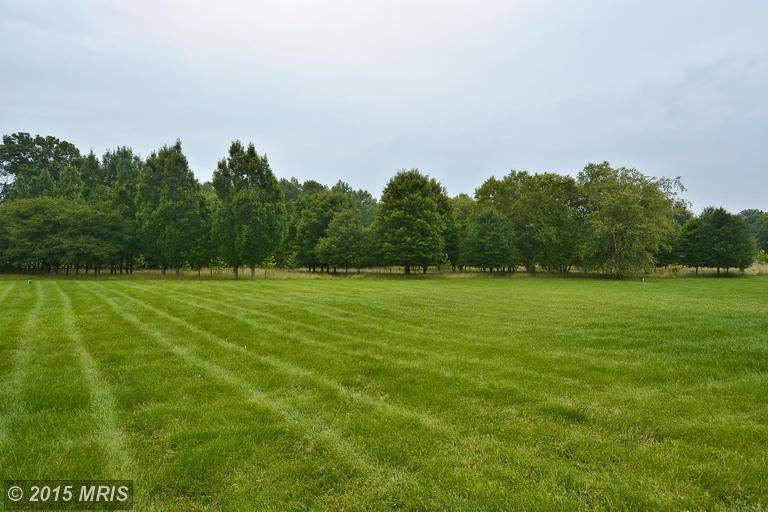 15429 Maple Ridge Rd - Photo 3 of 30