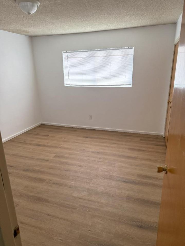 2104 Carnegie Ln - Photo 3 of 20