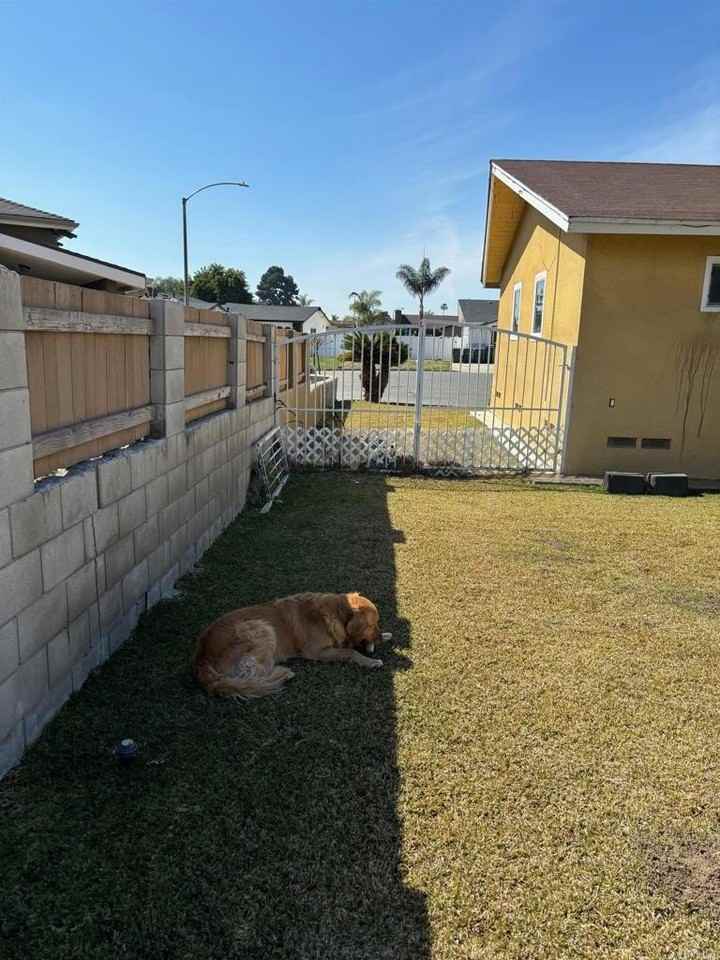 3623 Hazelhurst Ct - Photo 6 of 16