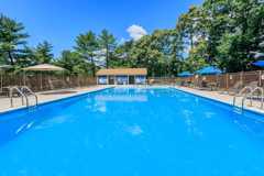 The Pines of Roanoke - Photo 1 of 1