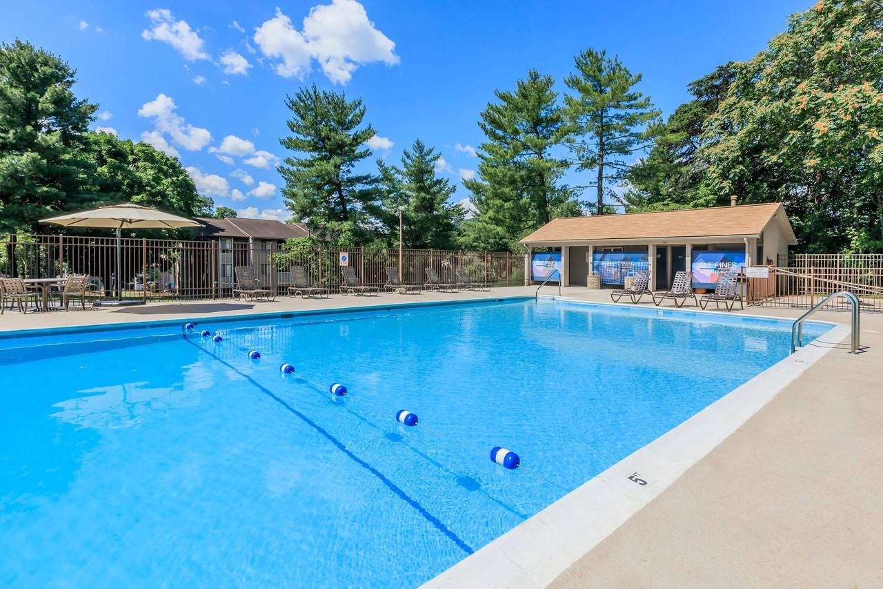 The Pines of Roanoke - Photo 3 of 48