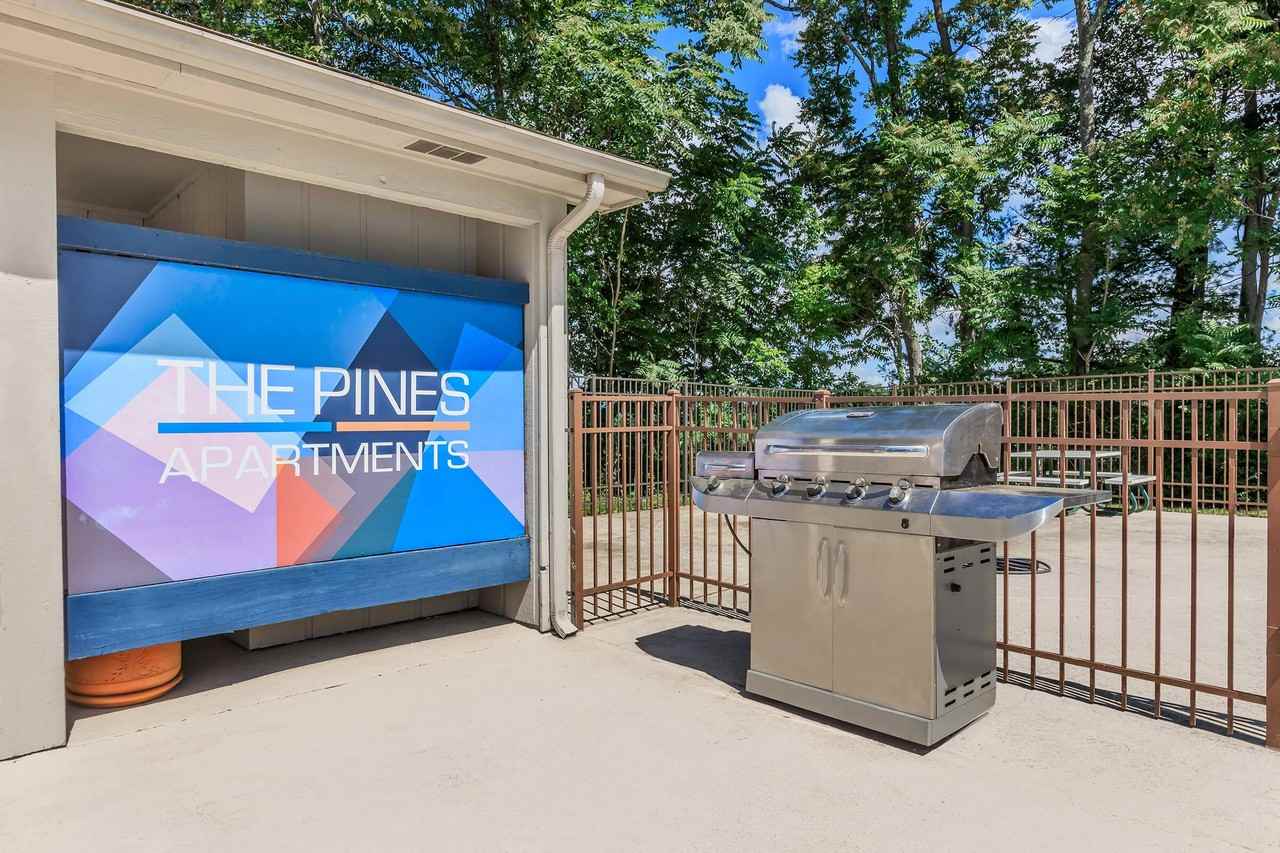 The Pines of Roanoke - Photo 7 of 48