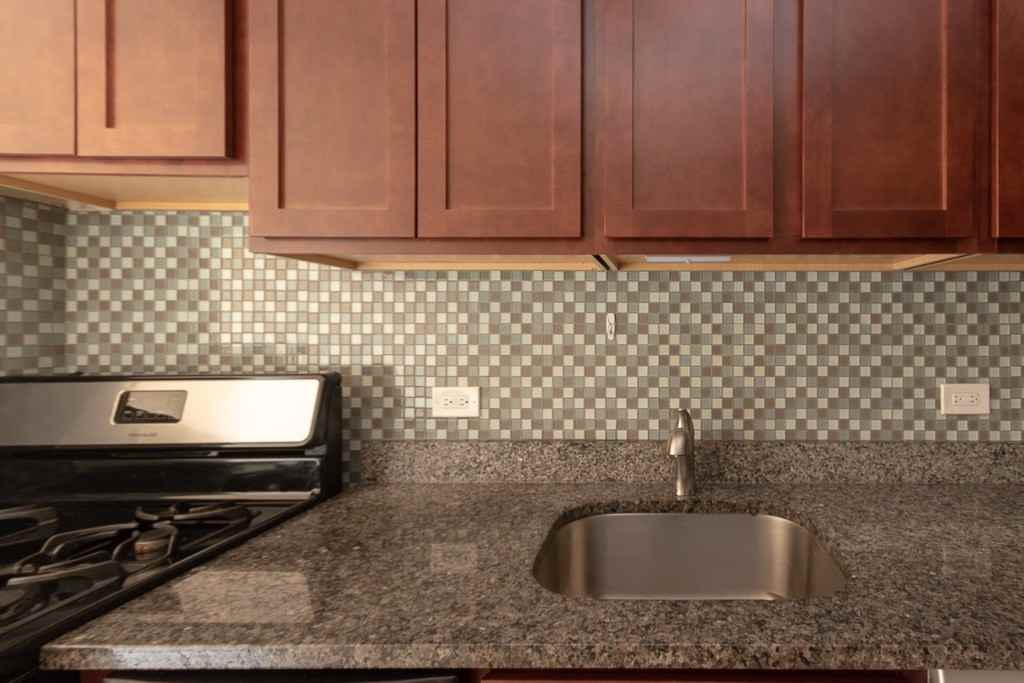 555 W Arlington Pl #508 - Photo 3 of 19