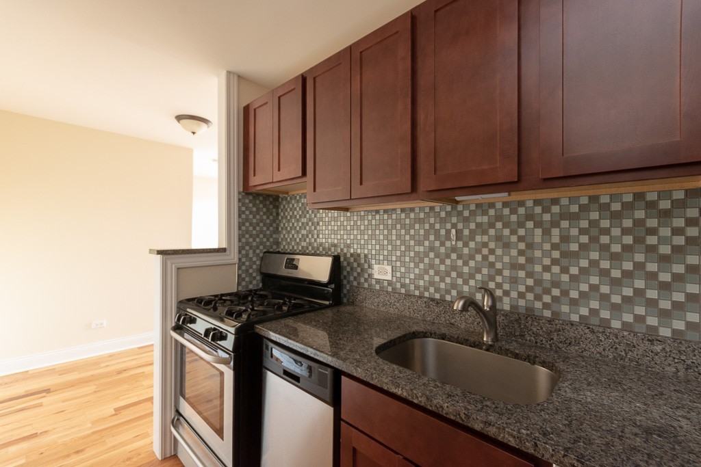 555 W Arlington Pl #508 - Photo 4 of 19