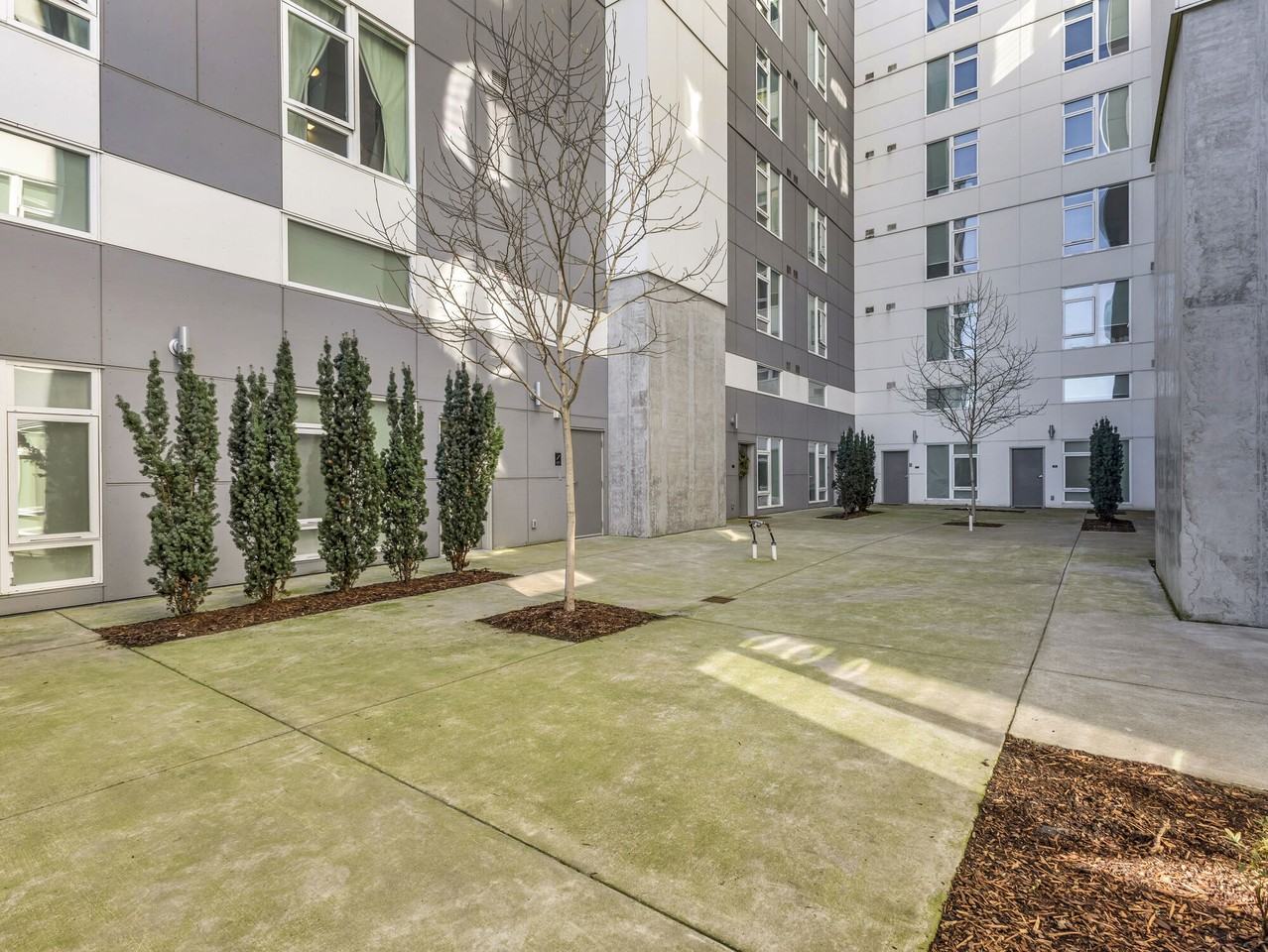 Koz at the Dome - Photo 6 of 34