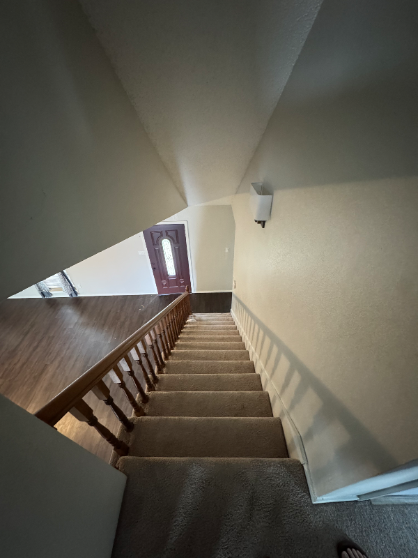 3905 Picato Dr - Photo 7 of 19