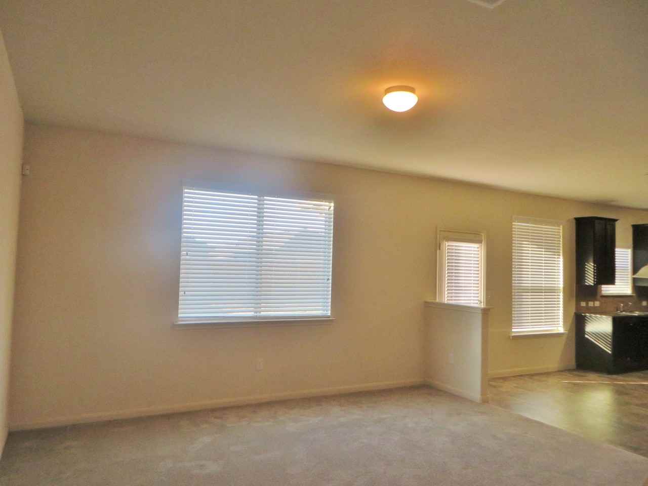 304 Potters Peak Way - Photo 5 of 38