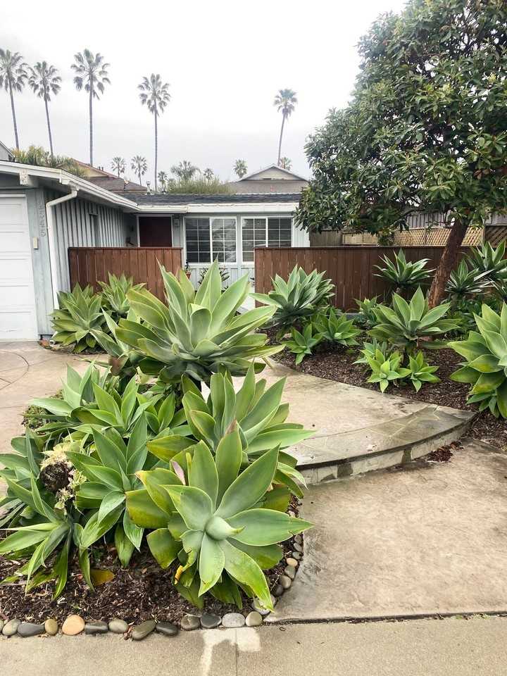 2545 Pierpont Blvd - Photo 2 of 16