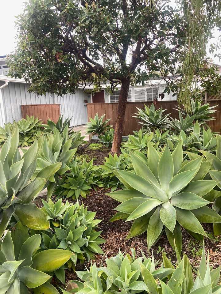 2545 Pierpont Blvd - Photo 3 of 16