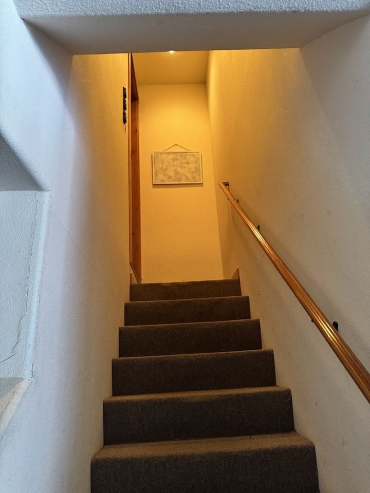 645 Monterey Pine Rd - Photo 5 of 50