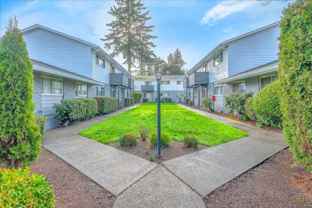 Lively on Electric - Photo 1 of 1