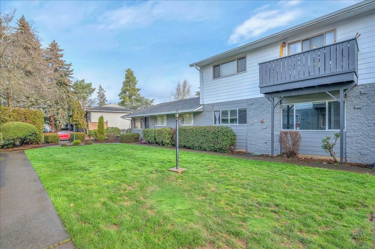 Lively on Electric - Photo 2 of 3