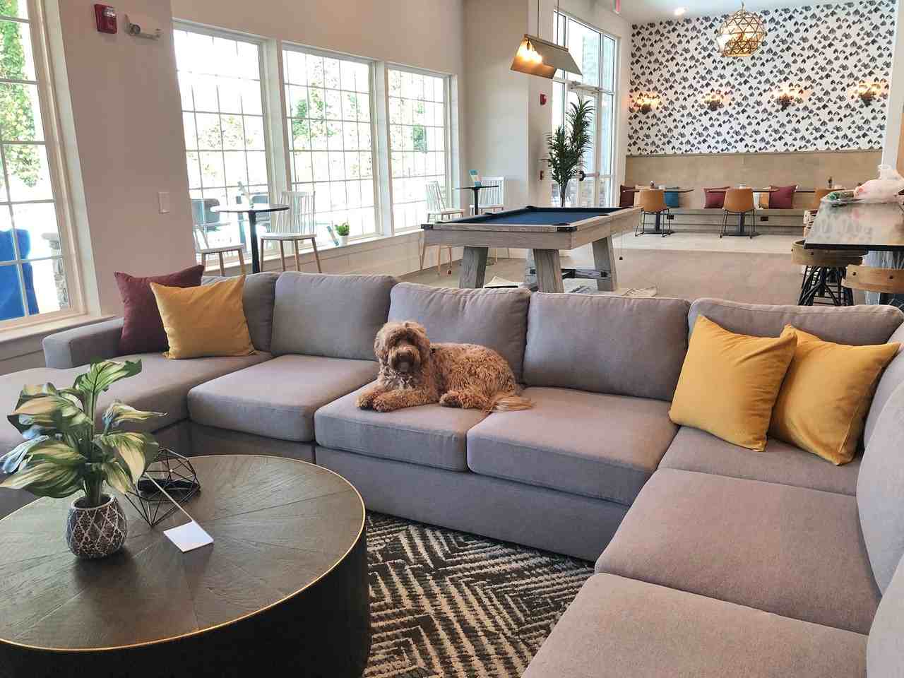 Flagship Carrollton - Photo 5 of 31