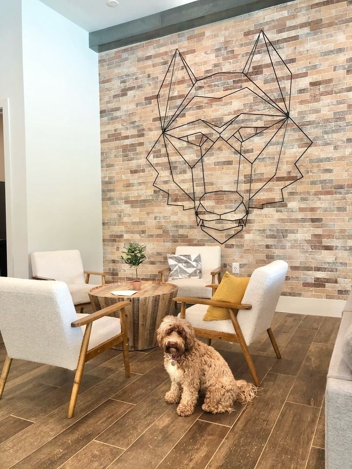 Flagship Carrollton - Photo 6 of 31