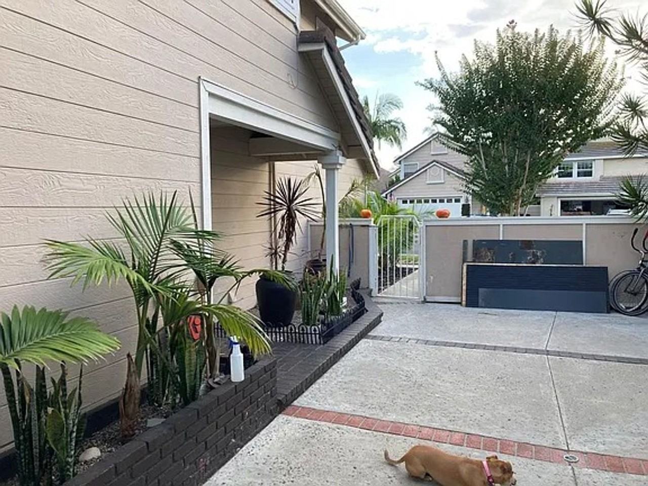 2329 Calle Balandra - Photo 2 of 13