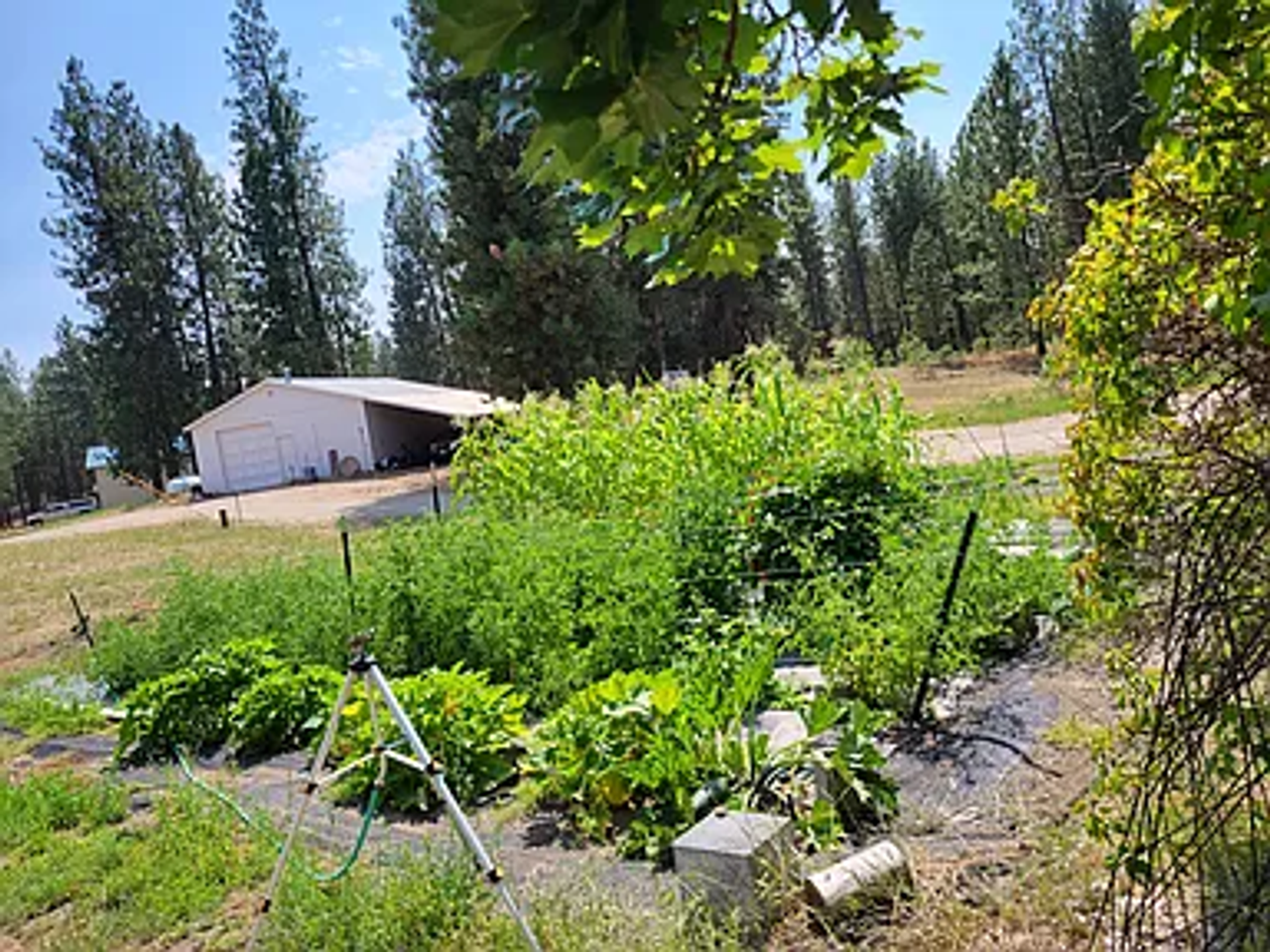 20003 W Steinmetz Ln - Photo 2 of 6