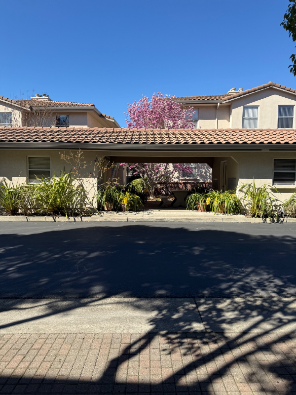 600 Moraga Rd #12 - Photo 2 of 9