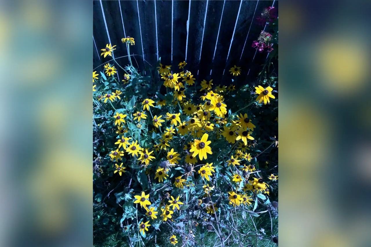 24 Hall St - Photo 2 of 15