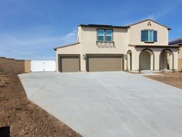 featured image of 26512 Noble Fir #NA