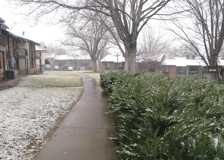 Orchard Gardens  (OG) - Photo 1 of 1