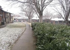 Orchard Gardens  (OG) - Photo 1 of 1