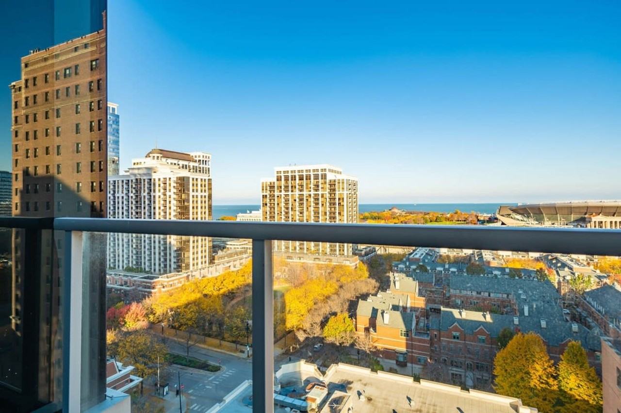 1411 S Michigan Ave #1024635P - Photo 6 of 17