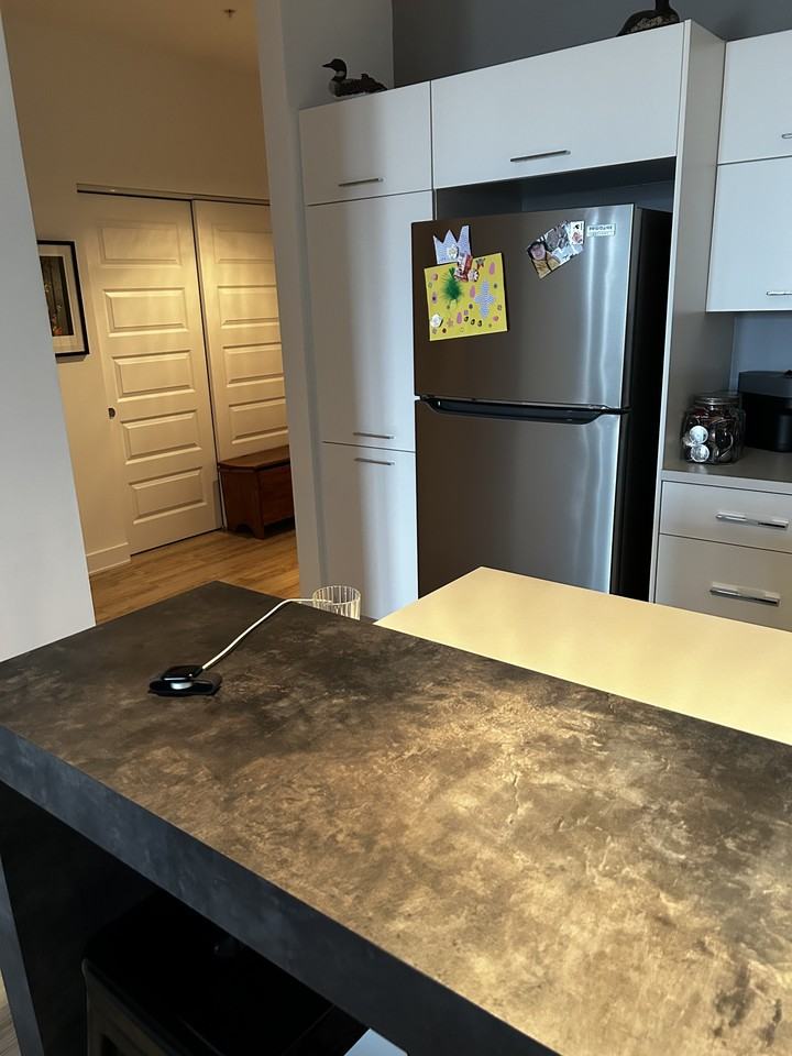 2190 Rue Préfontaine #309 - Photo 7 of 10